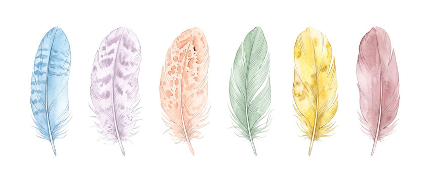 Watercolor feather set colorful bohemian soft plumage collection elements hand painted pastel bird feathers isolated on black background for boho wedding invitation art design card craft print
