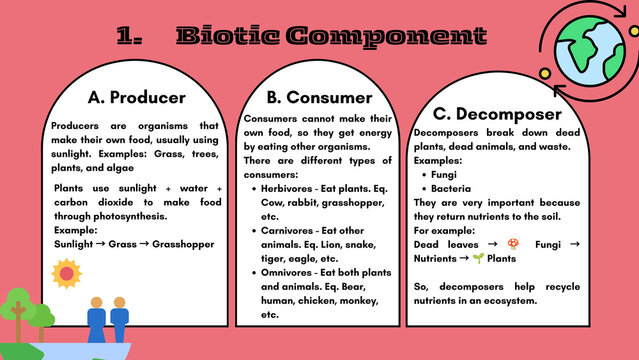 Biotic component educational infographic, producer consumer and decomposer ecosystem chart, biology lesson slide for school