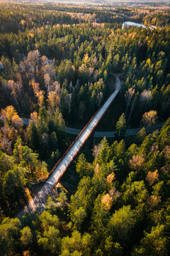 Aerial view of a pedestrian bridge crossing over a road through a dense forest with autumn foliage in Sipoo, Uusimaa, Finland.