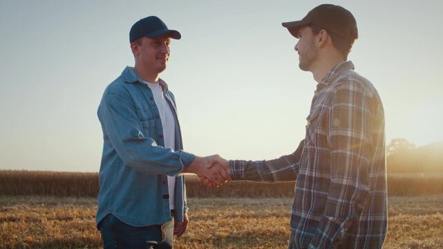 Farmers shake hands during meeting on wheat field at sunset