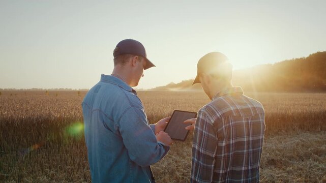 Agronomists review tablet data together against wheat field