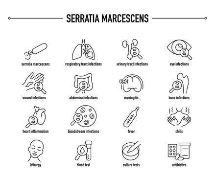 Serratia Marcescens symptoms, diagnostic and treatment vector icon set. Line editable medical icons.