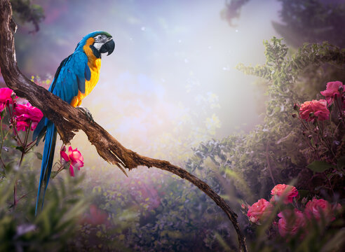 Blue-and-yellow macaw parrot in fantasy tropical jungle forest, blue-and-gold ara ararauna bird on tree branch in lush greenery in misty fairy tale rainforest, mysterious floral nature background.