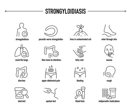 Strongyloidiasis symptoms, diagnostic and treatment vector icon set. Line editable medical icons.