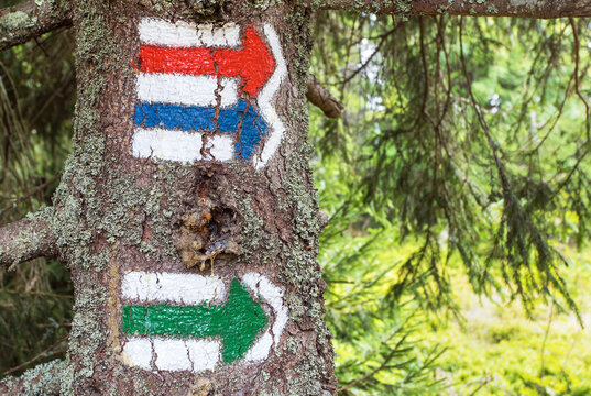 red green and blue tourists signs symbols with arrows