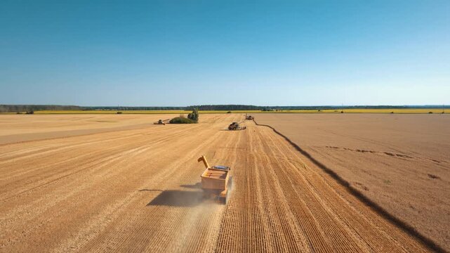 Harvest machinery working across vast wheat field aerial view