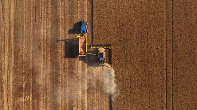 Operating combine unloading grain into tractor trailer in field