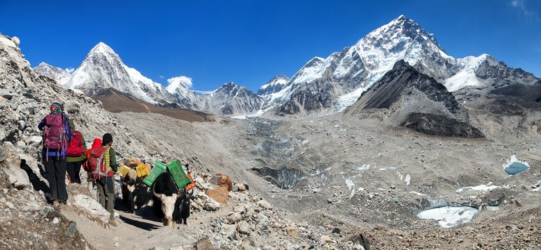 Tourists and yaks going to Mount everest base camp