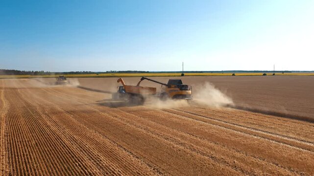 Combine and tractor cross harvested field under clear summer sky