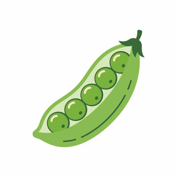 A simple flat vector illustration of a green pea pod with peas inside.