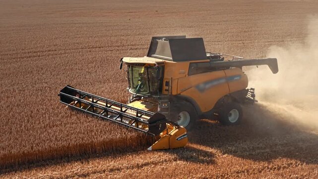 Combine harvester cuts ripe grain while moving across field