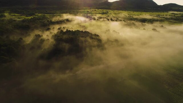 Aerial view of misty rolling hills and forest patches illuminated by golden morning light in the countryside of Croatia.
