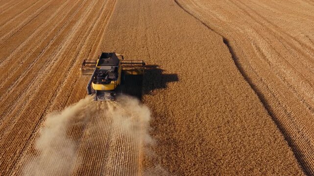 Modern combine moves across wheat field leaving dusty trail