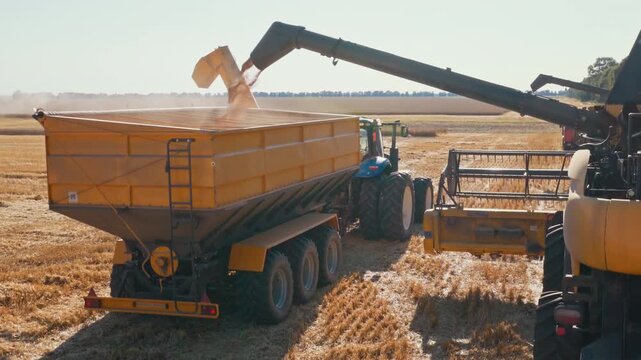 Combine unloads harvested grain into trailer near tractor