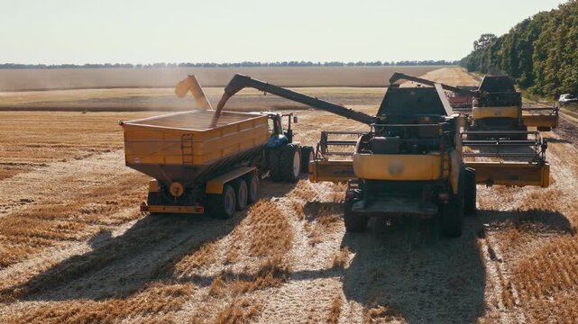 Combine unloads grain into trailer during field harvesting