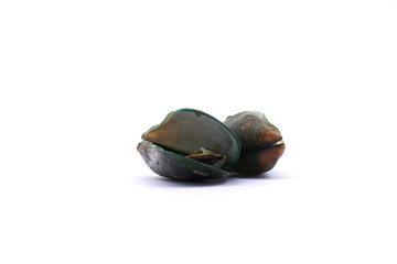 green lipped mussels. often referred to as Perna viridis or Asian green mussels. mussels on a white background © Pisan