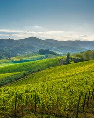 Obraz premium Chianti Vineyards and Radda in Chianti Village View Tuscany