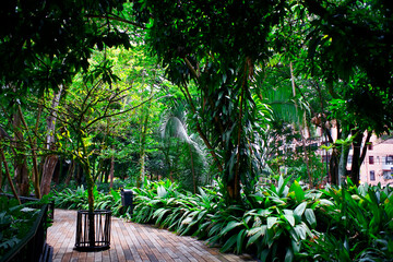 Beautiful tropical Bailarina park in summer  in Medellin, Colombia. © nic