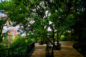 Elevated terrace overlooking Medellín within the lush Bailarina park in Colombia. © nic