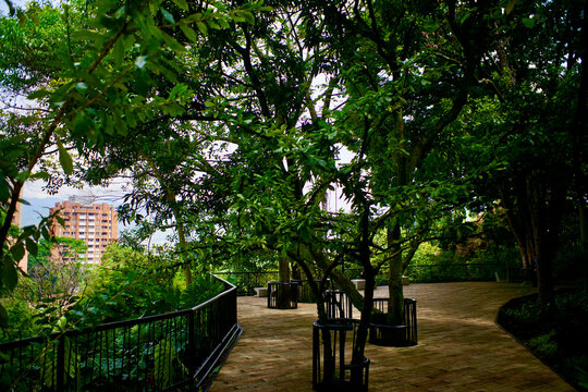 Elevated terrace overlooking Medell&iacute;n within the lush Bailarina park in Colombia.