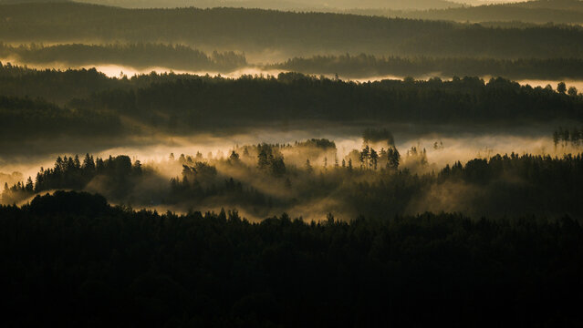Aerial view of a dense forest landscape shrouded in morning mist with golden sunlight filtering through the trees Helsinki, Uusimaa, Finland.