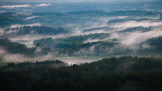 Aerial view of the misty forest landscape surrounding Hiidenvesi lake with dense pine trees and low-hanging fog in Helsinki, Uusimaa, Finland.