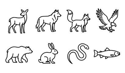 Fototapeta premium Simple line art illustration of various north american wildlife animals and creatures