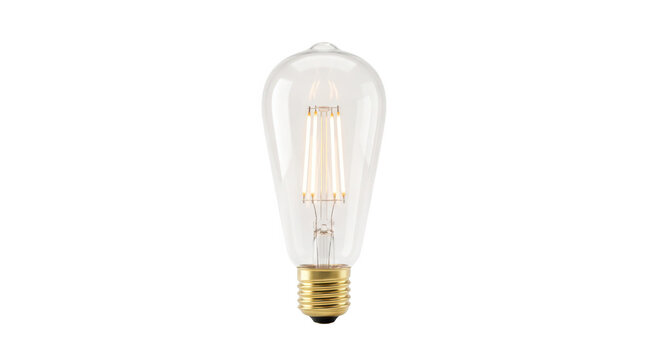 Vintage edison light bulb with visible filaments isolated on a clean white background