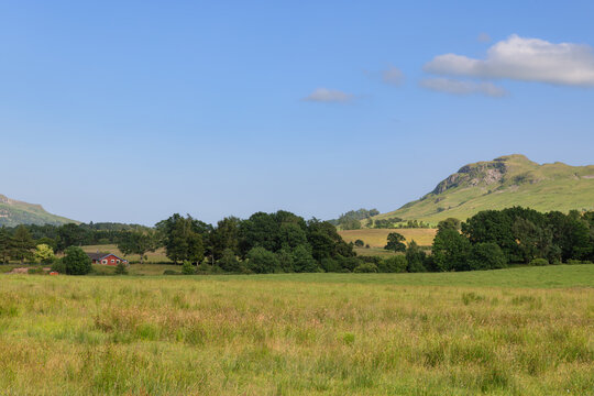Landscape with green meadows and gentle hills in summer in Scotland.