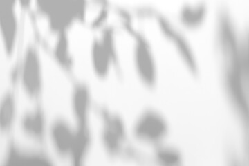 Naklejka premium Real highly blurred foliage shadow cut out on a transparent png background with soft bokeh edges. Drops into a serene wellness mockup overlay and abstract lifestyle brand composition as a png overlay.