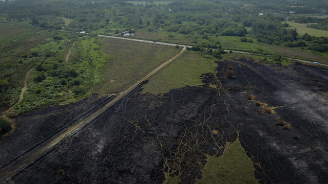 Aerial view of fire-damaged charred land contrasting with lush green vegetation and a road in the coastal landscape of Plevenon, Brittany, France.