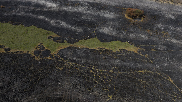 Aerial view of scorched earth and fire damage with patches of green vegetation and a lone tree on the coastal landscape in Plevenon, Brittany, France.