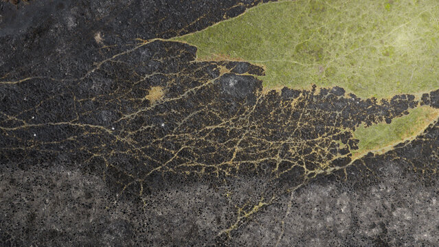 Aerial view of fire damage on the coastal landscape showing a stark contrast between charred ground and remaining green vegetation in Plevenon, Brittany, France.