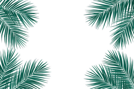 Green tropical palm leaf border frame