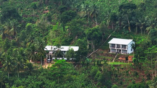 Aerial view of a mountain village in Sri Lanka, surrounded by lush palm trees, green rice fields and tropical vegetation. Scenic tropical countryside and traditional agriculture..