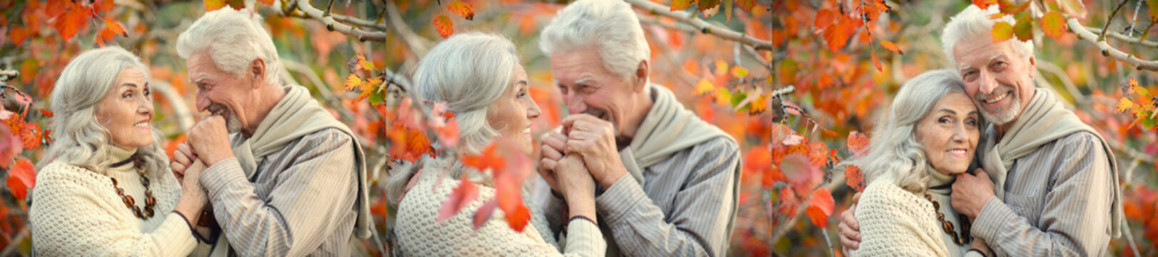 Happy Senior Couple in Autumn Leaves