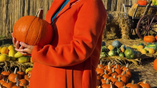 Mid-shot of person cradling medium orange pumpkin with both hands at chest level while wearing bright orange coat and teal collar, fingers interlaced under pumpkin indicate steadying or presenting