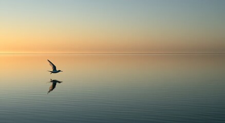 Fototapeta premium Serene horizon with a solitary bird soaring over calm water at sunset