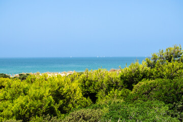 Sand dunes in front of La Barrosa beach in Sancti Petri, Chiclana de la Frontera, Cadiz, Spain © josevgluis