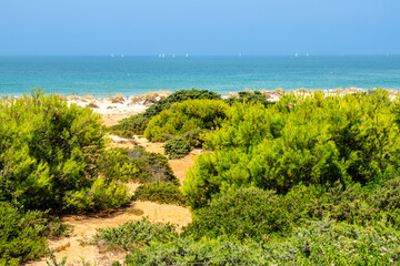 Sand dunes in front of La Barrosa beach in Sancti Petri, Chiclana de la Frontera, Cadiz, Spain © josevgluis