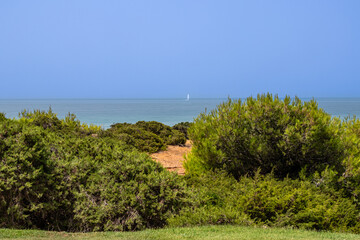 Sand dunes in front of La Barrosa beach in Sancti Petri, Chiclana de la Frontera, Cadiz, Spain © josevgluis