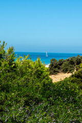 Sand dunes in front of La Barrosa beach in Sancti Petri, Chiclana de la Frontera, Cadiz, Spain © josevgluis