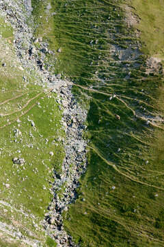 Aerial view of a rocky mountain stream bed cutting through a lush green alpine slope with a single cow grazing on the hillside in Montenegro.