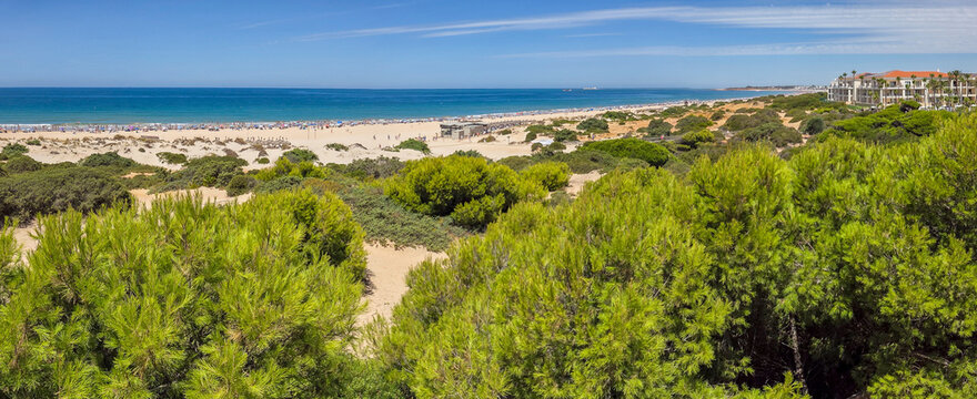 Sand dunes in front of La Barrosa beach in Sancti Petri, Chiclana de la Frontera, Cadiz, Spain