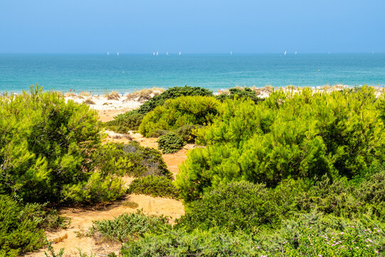 Sand dunes in front of La Barrosa beach in Sancti Petri, Chiclana de la Frontera, Cadiz, Spain