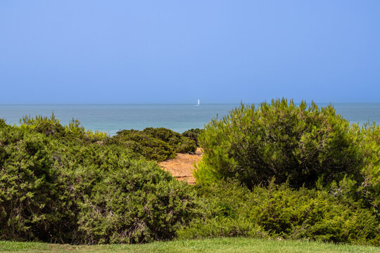 Sand dunes in front of La Barrosa beach in Sancti Petri, Chiclana de la Frontera, Cadiz, Spain