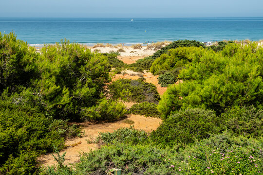 Sand dunes in front of La Barrosa beach in Sancti Petri, Chiclana de la Frontera, Cadiz, Spain
