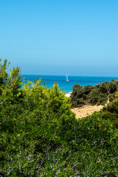 Sand dunes in front of La Barrosa beach in Sancti Petri, Chiclana de la Frontera, Cadiz, Spain