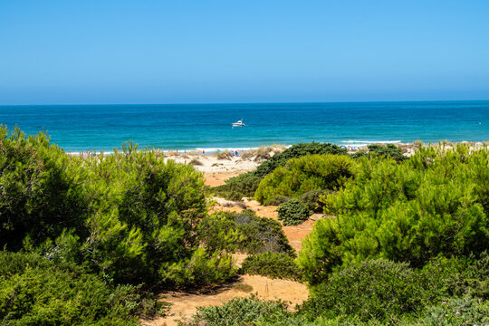Sand dunes in front of La Barrosa beach in Sancti Petri, Chiclana de la Frontera, Cadiz, Spain