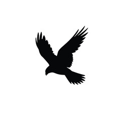 Fototapeta premium A black silhouette of a soaring eagle against a white background
